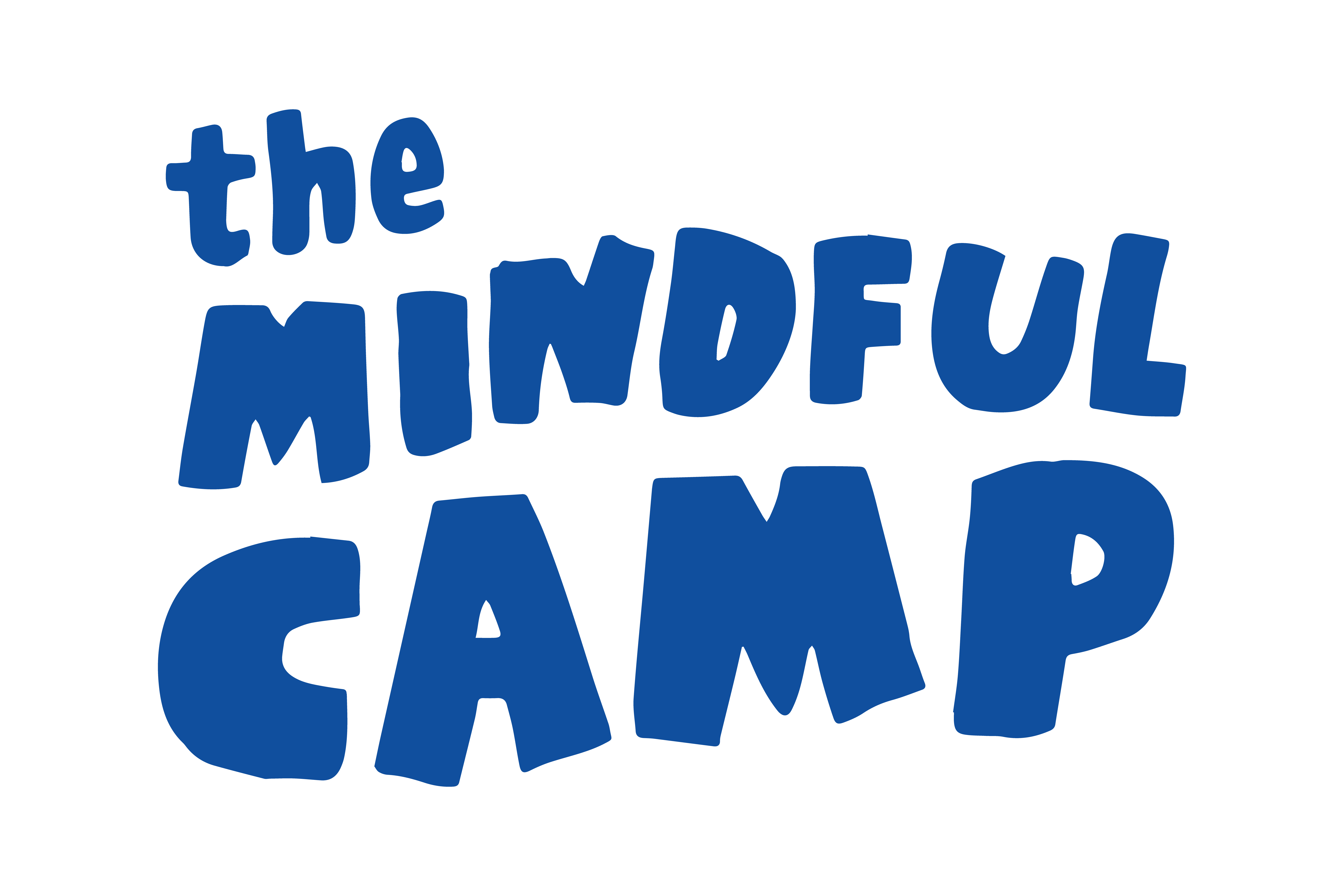 The Mindful Camp (S) Pte Ltd